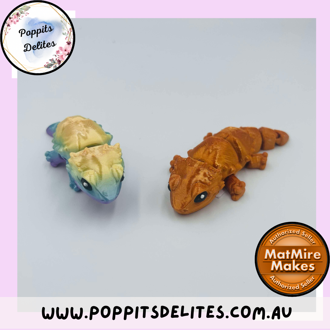 Baby Bearded Dargons - Poppits Delites