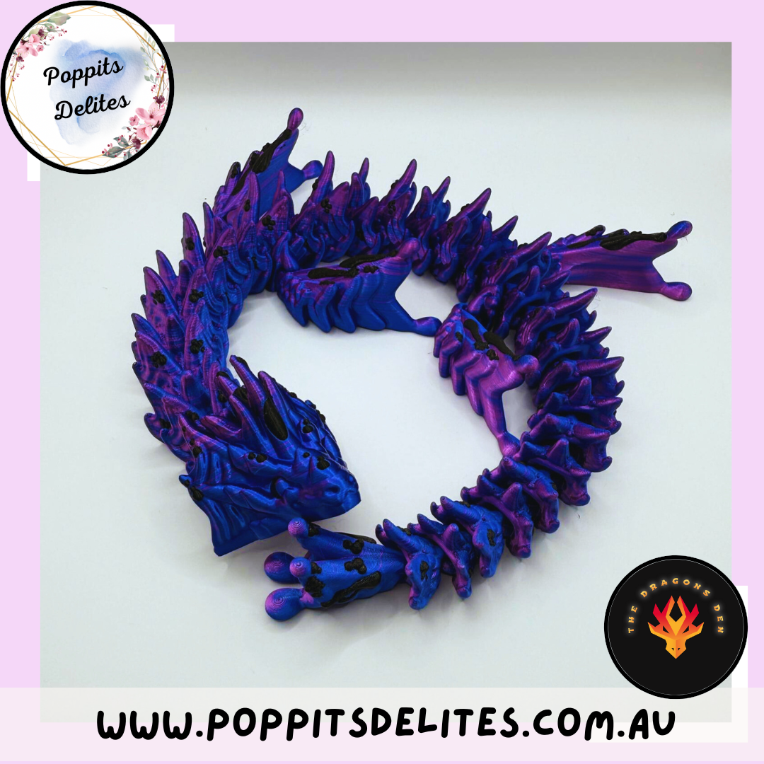 Aquarius Dragon