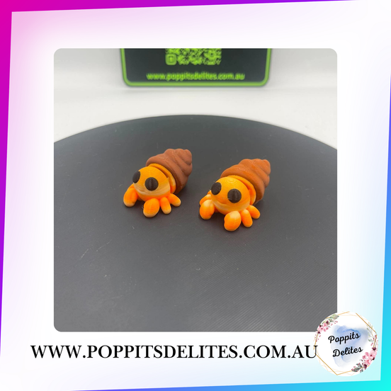 Mini Hermit Crab - Poppits Delites
