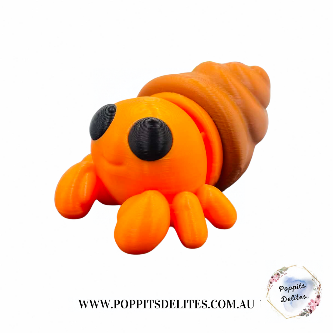 Hermit Crab