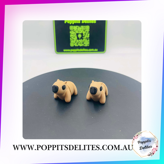Mini Capybara - Poppits Delites