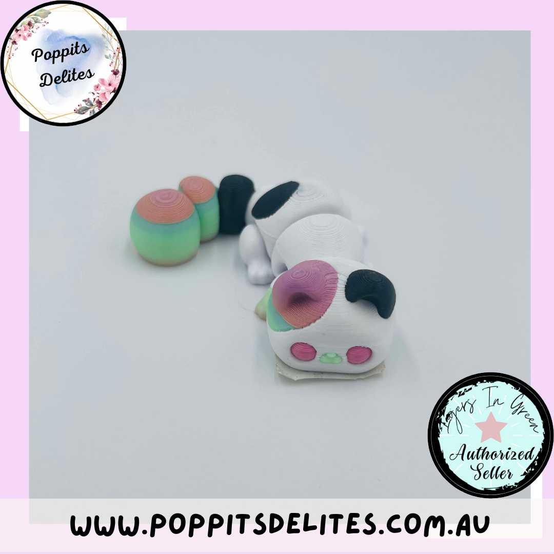 Baby Cat - Poppits Delites