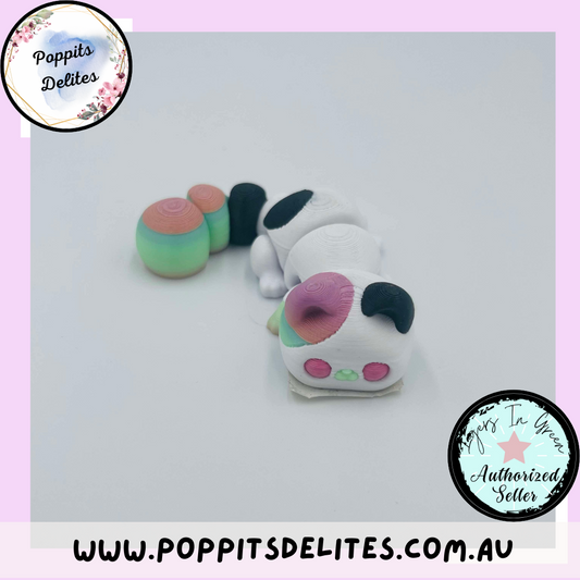 Baby Cat - Poppits Delites